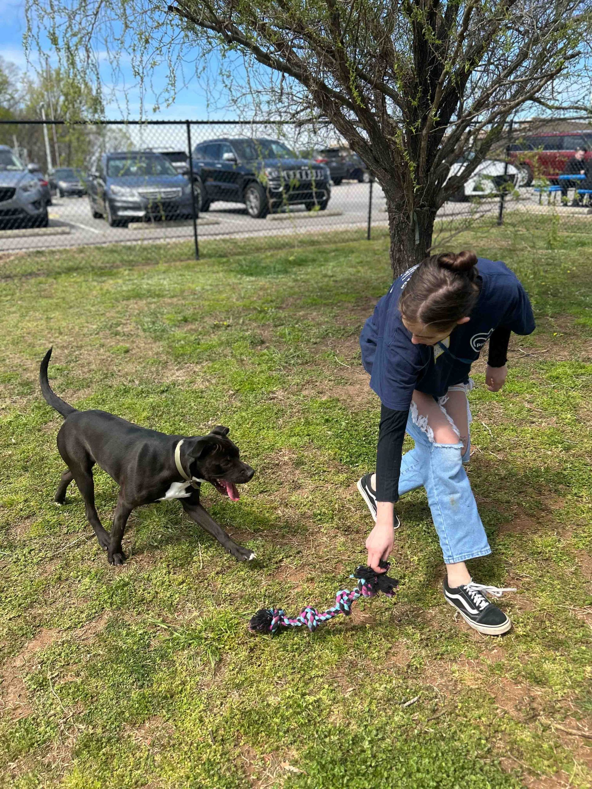 Nash Community College Vet Tech Program Student Chapter of the National
