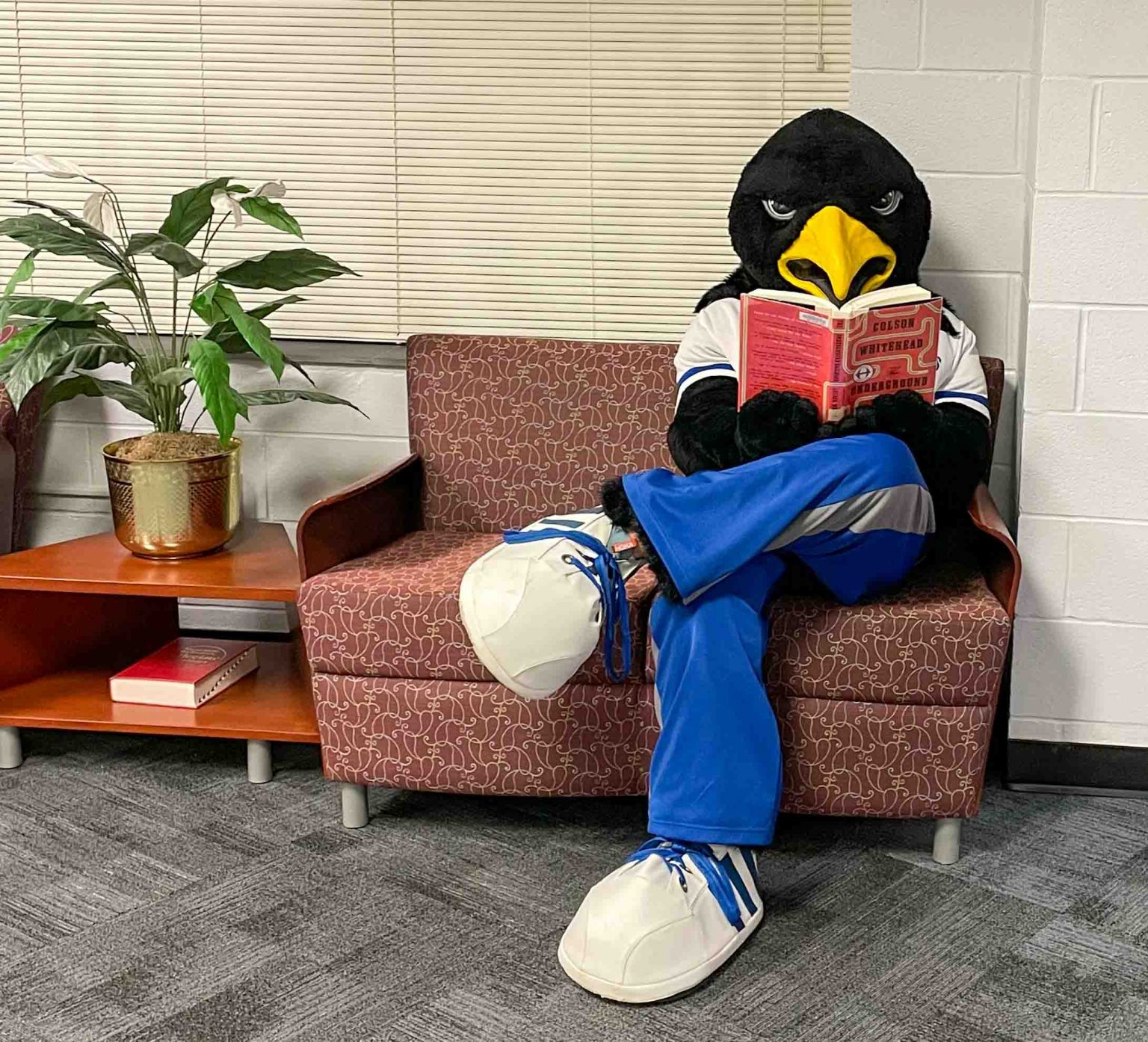 nash-community-college-to-host-nighthawks-young-reader-storytime